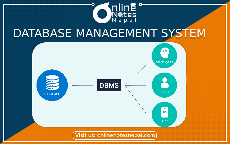 Database Management System